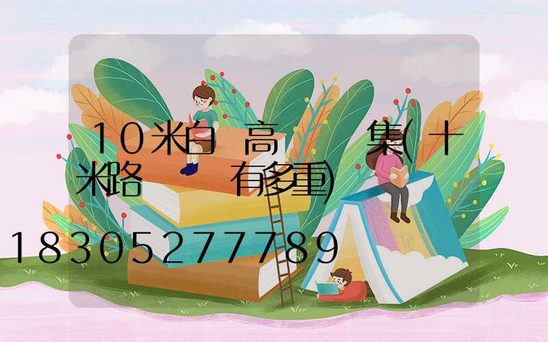 10米白鋼高桿燈圖集(十米路燈鋼桿有多重)
