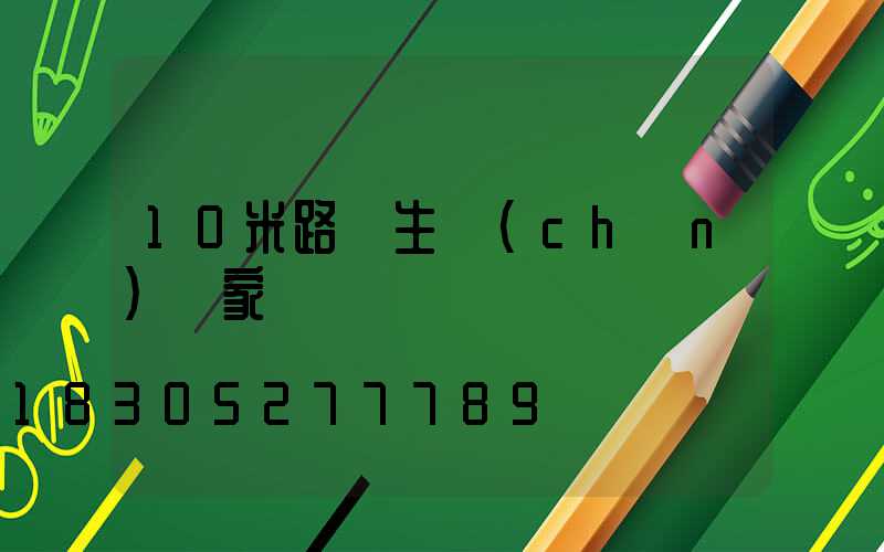 10米路燈生產(chǎn)廠家