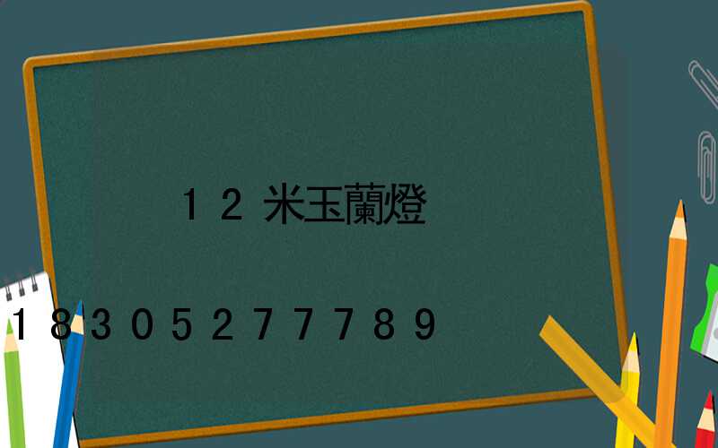 12米玉蘭燈