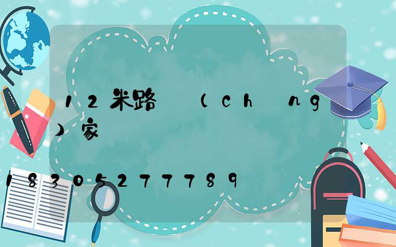 12米路燈廠(chǎng)家