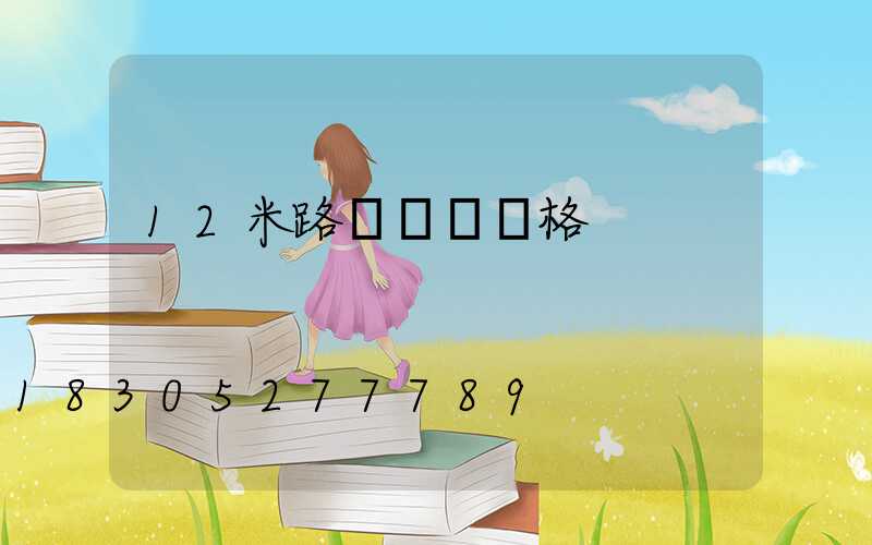 12米路燈燈桿價格