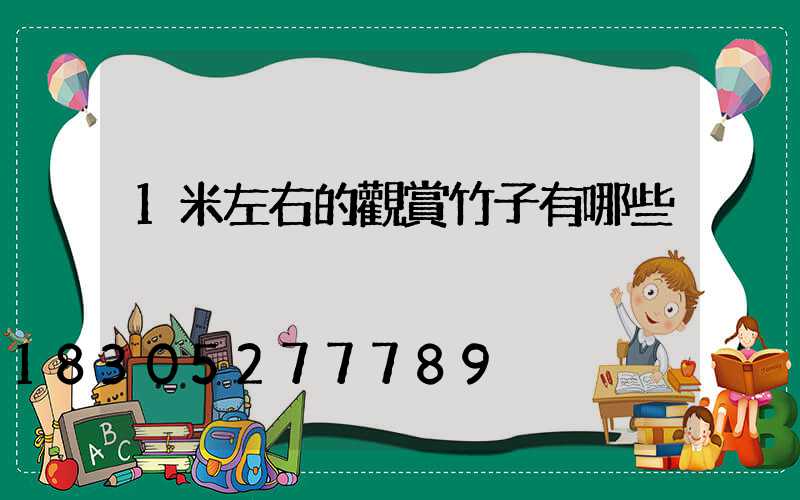1米左右的觀賞竹子有哪些