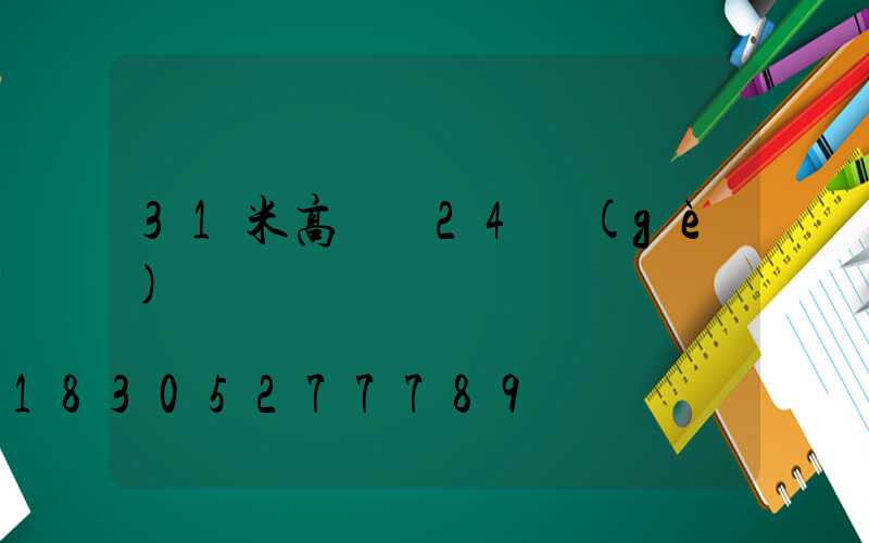 31米高桿燈24個(gè)燈頭