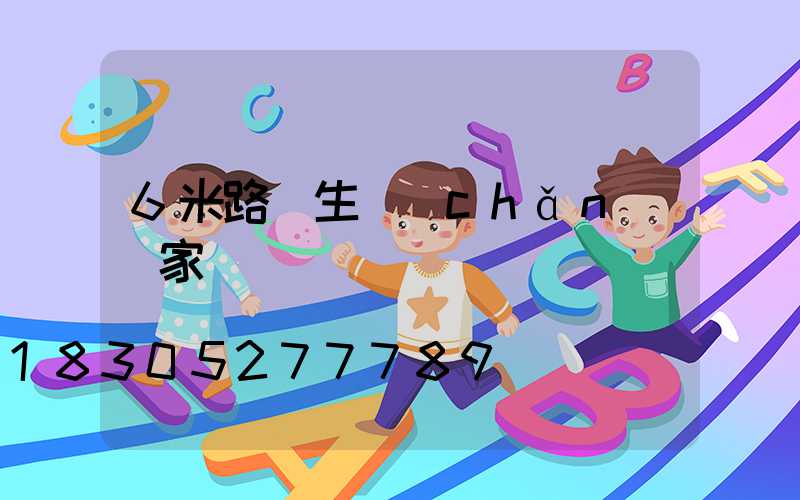 6米路燈生產(chǎn)廠家