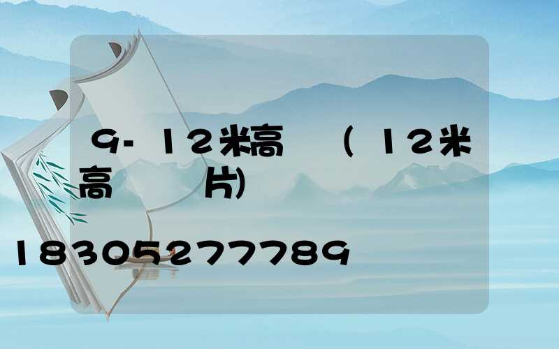 9-12米高桿燈(12米高桿燈圖片)
