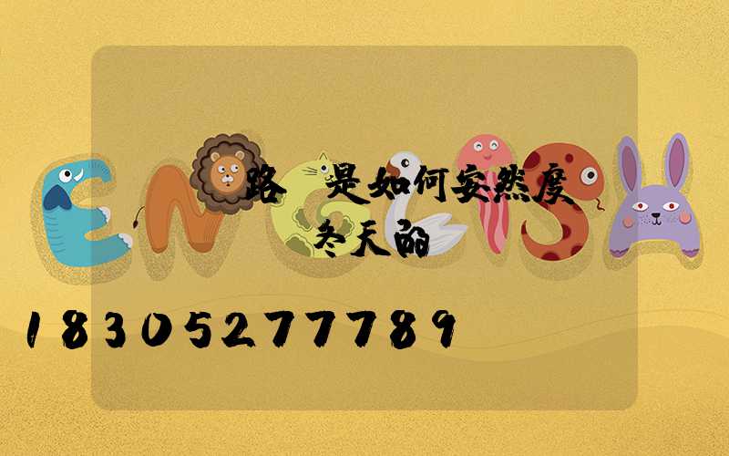 Led路燈是如何安然度過(guò)冬天的