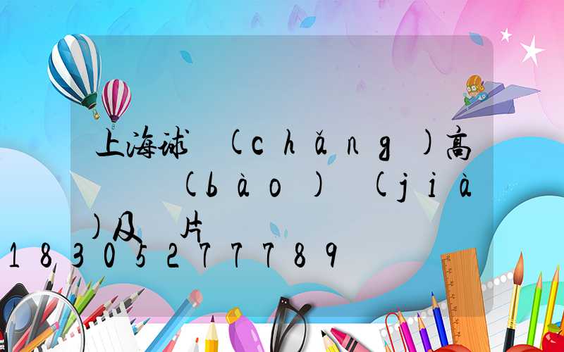 上海球場(chǎng)高桿燈報(bào)價(jià)及圖片