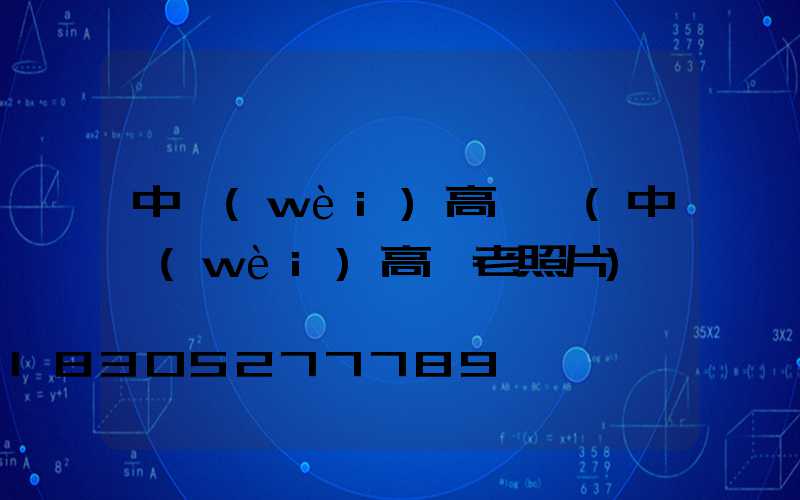 中衛(wèi)高桿燈(中衛(wèi)高廟老照片)