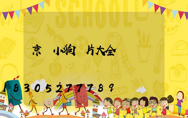 京東小狗圖片大全
