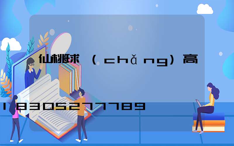 仙桃球場(chǎng)高桿燈