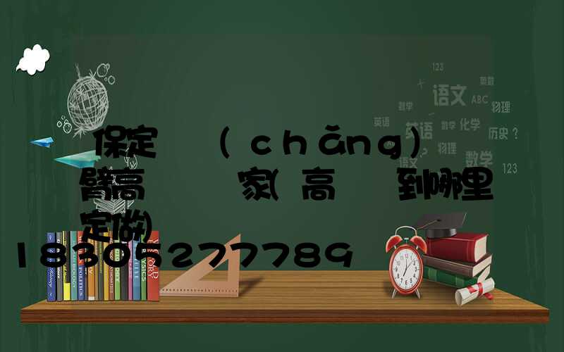 保定廣場(chǎng)雙臂高桿燈廠家(高桿燈到哪里定做)