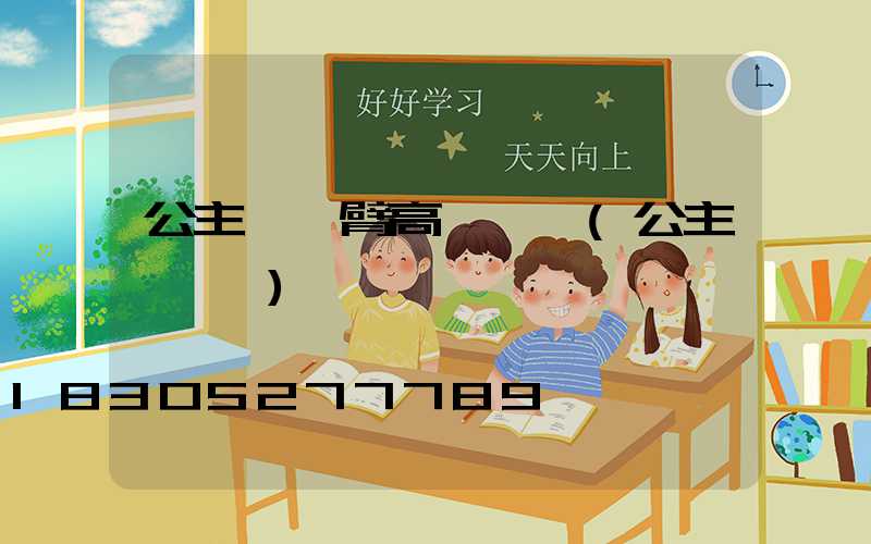 公主嶺單臂高桿燈廠(公主嶺燈會)