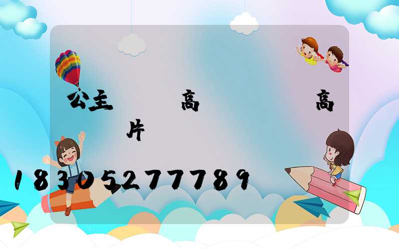 公主嶺雙頭高桿燈(雙頭高桿燈圖片)