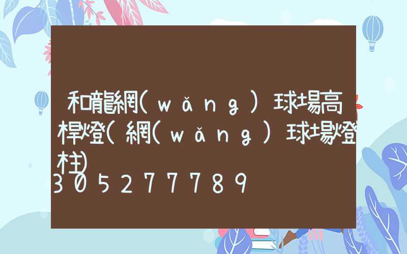 和龍網(wǎng)球場高桿燈(網(wǎng)球場燈柱)