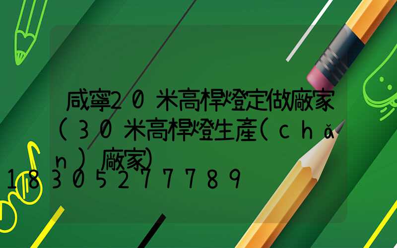 咸寧20米高桿燈定做廠家(30米高桿燈生產(chǎn)廠家)