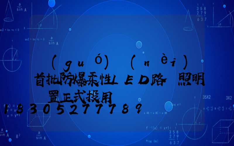國(guó)內(nèi)首批防爆柔性LED路燈照明裝置正式投用