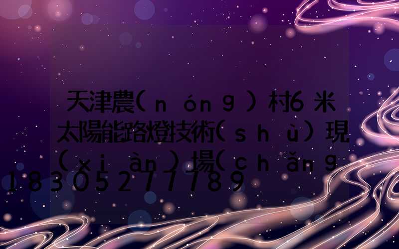 天津農(nóng)村6米太陽能路燈技術(shù)現(xiàn)場(chǎng)指導(dǎo)安裝