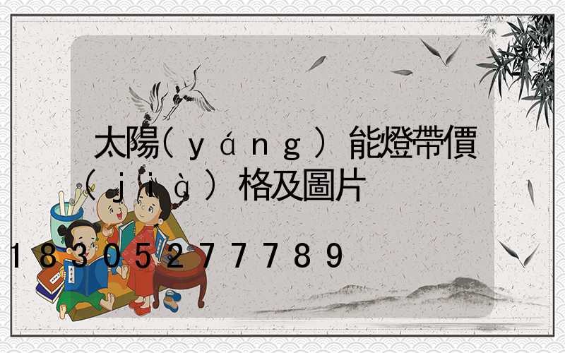 太陽(yáng)能燈帶價(jià)格及圖片