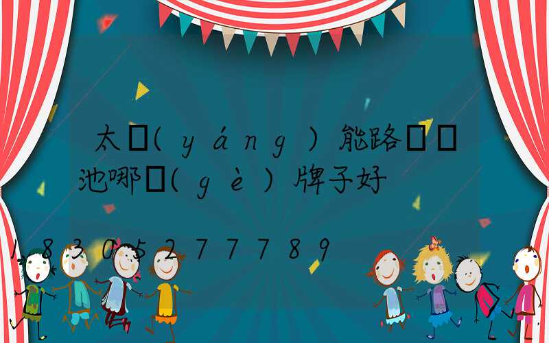 太陽(yáng)能路燈電池哪個(gè)牌子好