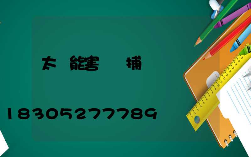 太陽能害蟲誘捕燈