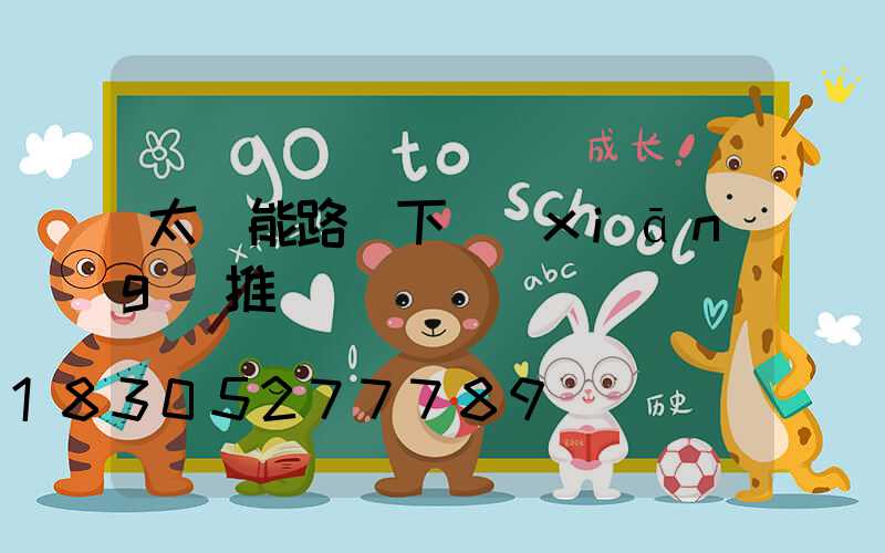 太陽能路燈下鄉(xiāng)推銷