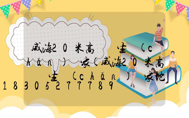 威海20米高桿燈生產(chǎn)廠家(威海20米高桿燈生產(chǎn)廠家地址)