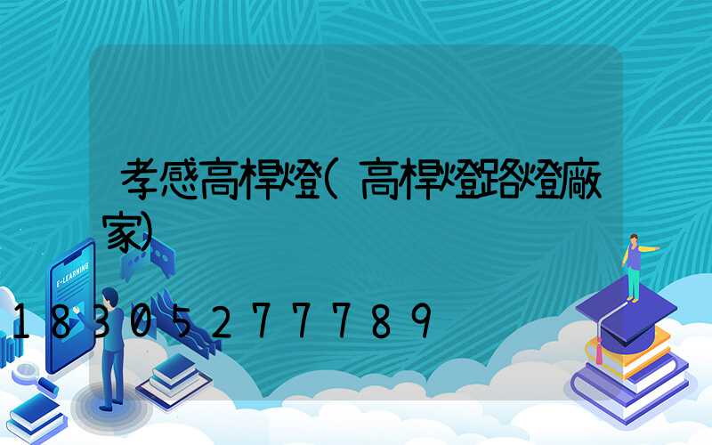 孝感高桿燈(高桿燈路燈廠家)