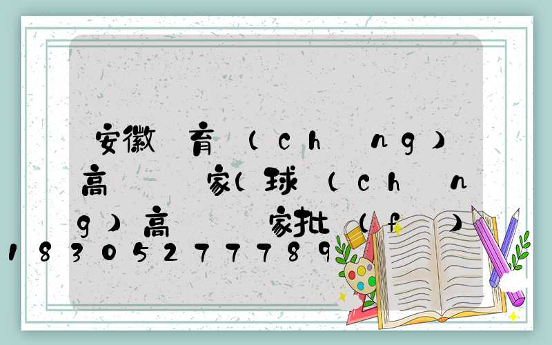 安徽體育場(chǎng)高桿燈廠家(球場(chǎng)高桿燈廠家批發(fā))