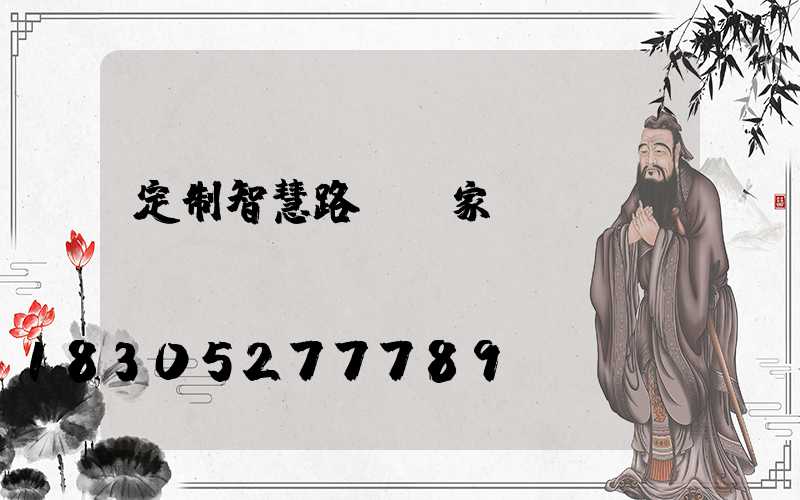 定制智慧路燈廠家
