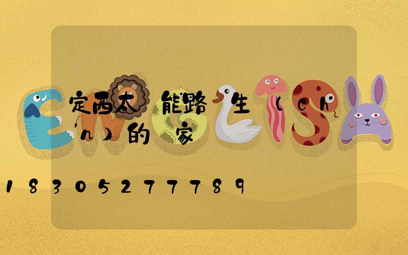 定西太陽能路燈生產(chǎn)的廠家