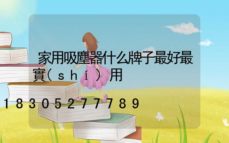 家用吸塵器什么牌子最好最實(shí)用