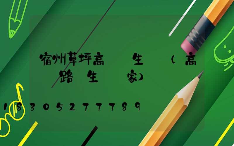 宿州草坪高桿燈生產線(高桿燈路燈生產廠家)