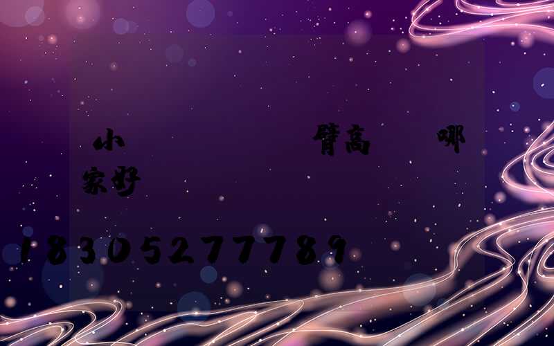 小區(qū)雙臂高桿燈哪家好
