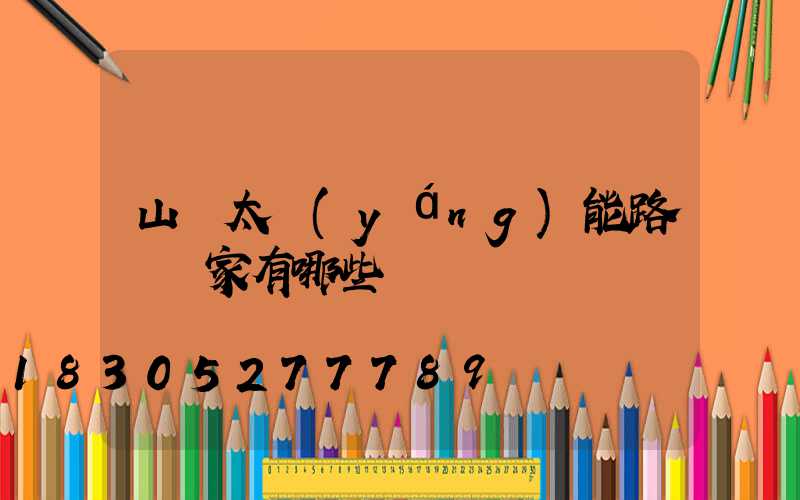 山東太陽(yáng)能路燈廠家有哪些