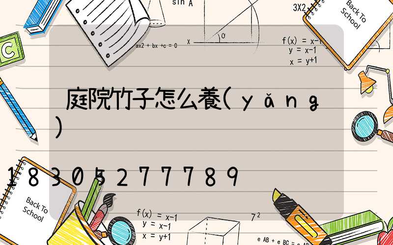 庭院竹子怎么養(yǎng)