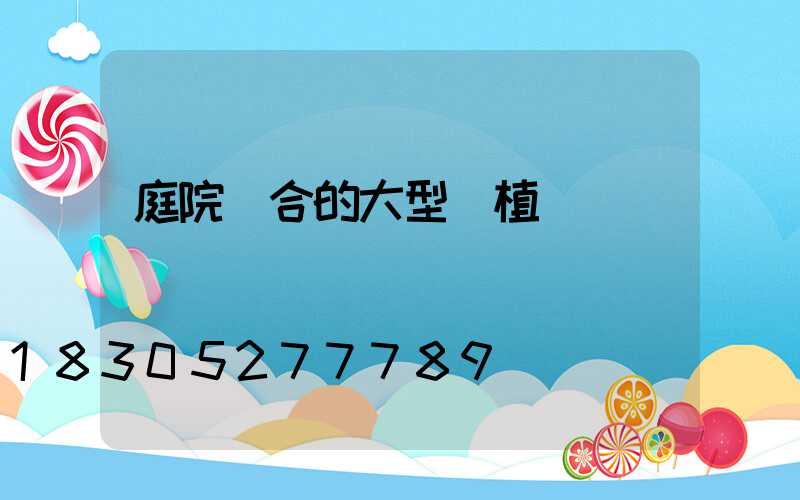 庭院適合的大型綠植