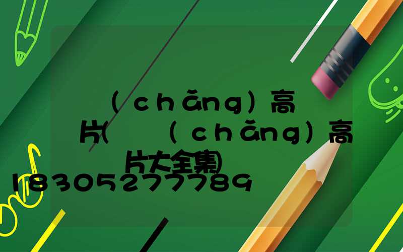廣場(chǎng)高桿燈圖片(廣場(chǎng)高桿燈圖片大全集)