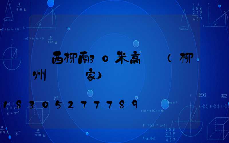 廣西柳南30米高桿燈(柳州燈桿廠家)