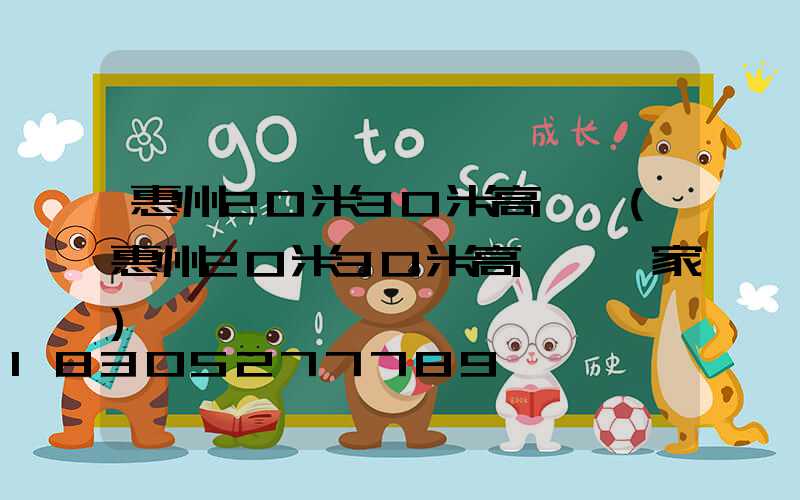惠州20米30米高桿燈(惠州20米30米高桿燈廠家)