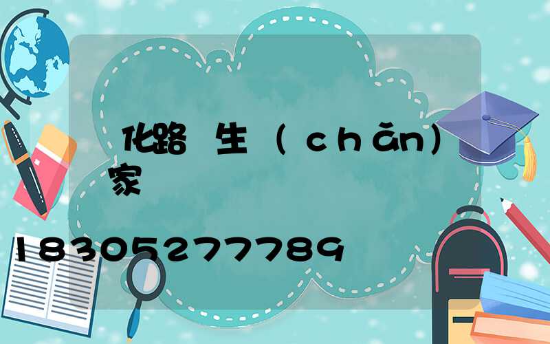 懷化路燈生產(chǎn)廠家