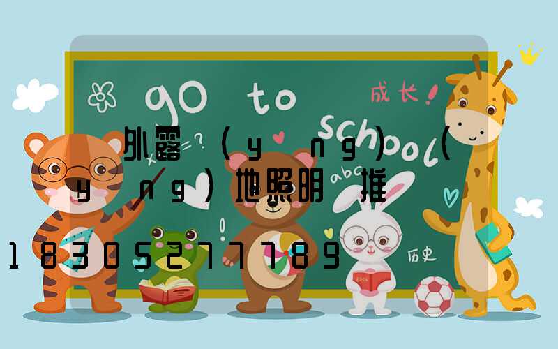 戶外露營(yíng)營(yíng)地照明燈推薦