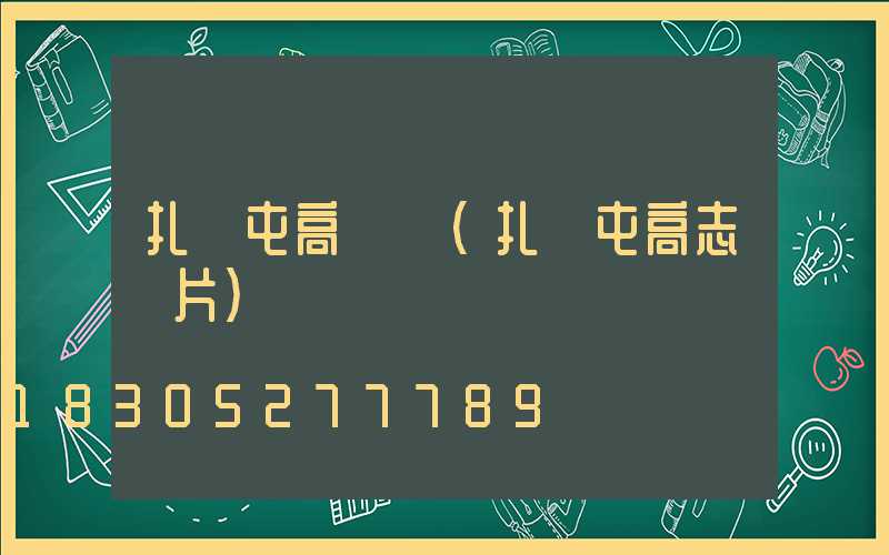 扎蘭屯高桿燈(扎蘭屯高志圖片)