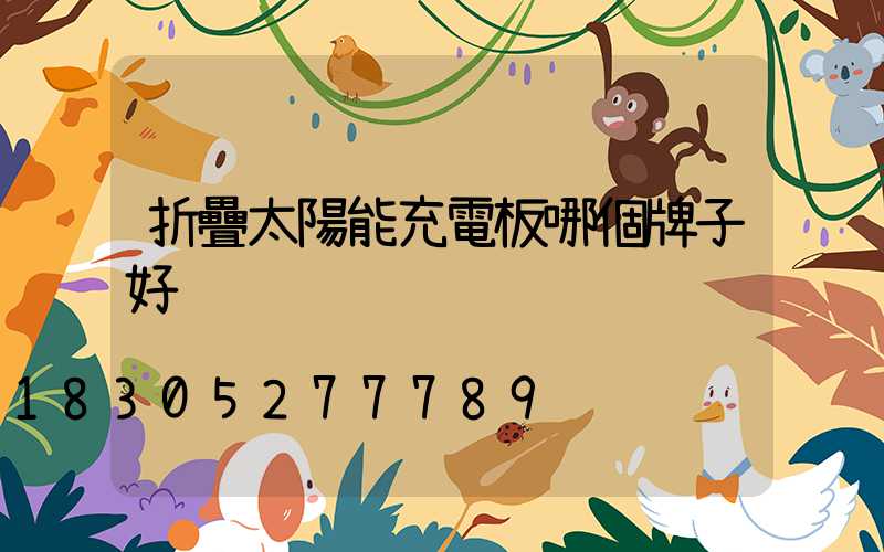 折疊太陽能充電板哪個牌子好