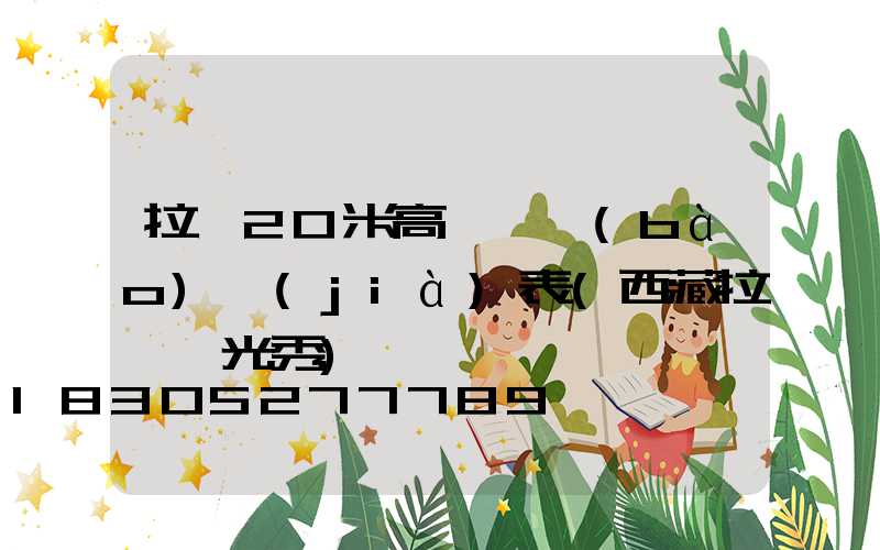 拉薩20米高桿燈報(bào)價(jià)表(西藏拉薩燈光秀)