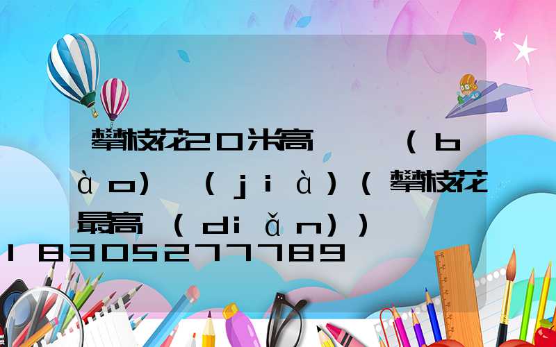 攀枝花20米高桿燈報(bào)價(jià)(攀枝花最高點(diǎn))