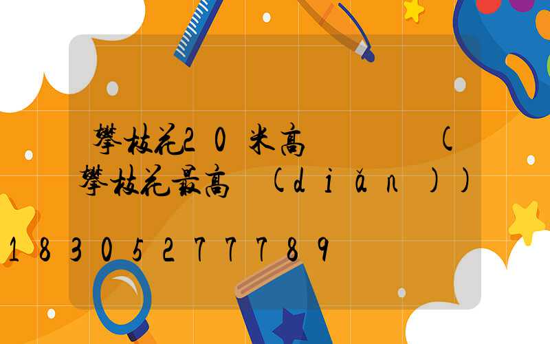 攀枝花20米高桿燈報價(攀枝花最高點(diǎn))