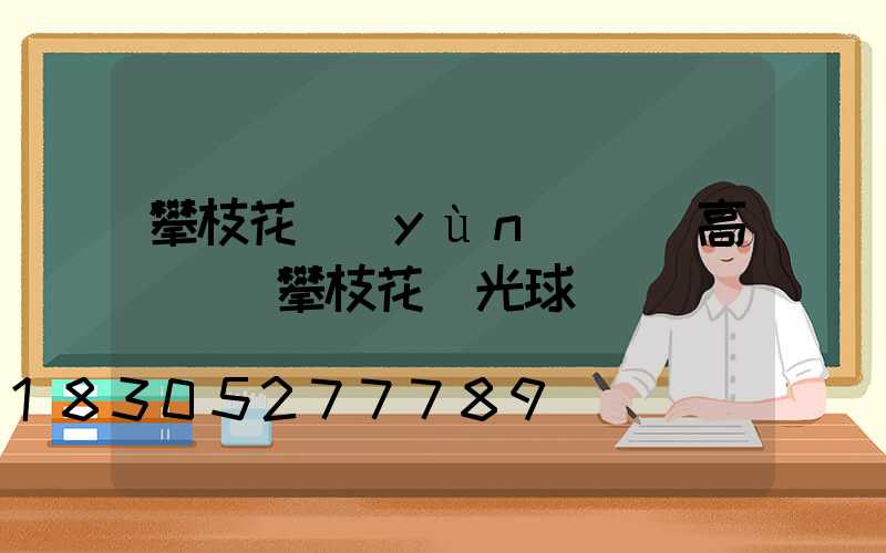 攀枝花運(yùn)動場高桿燈(攀枝花燈光球場)
