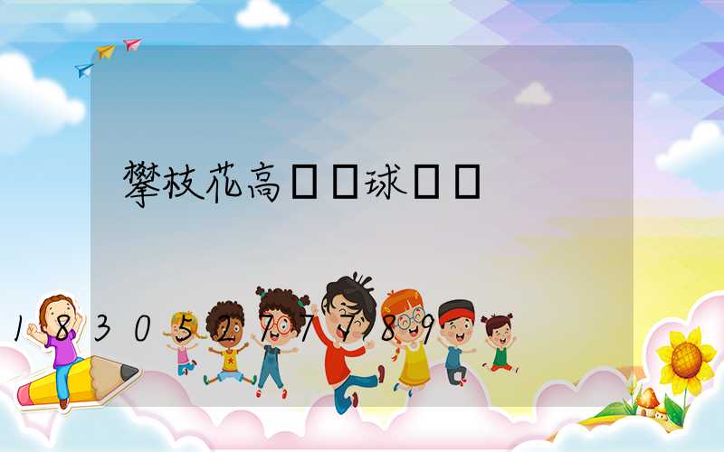 攀枝花高桿燈球場燈