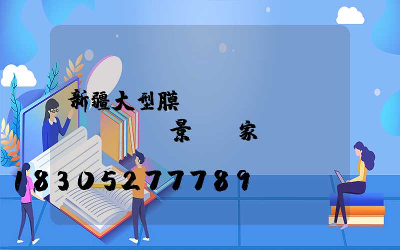 新疆大型膜結(jié)構(gòu)景觀廠家