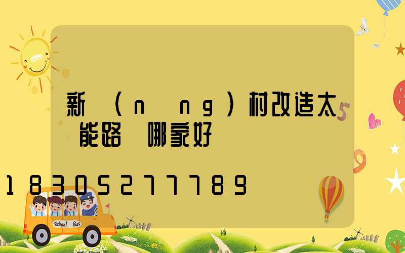 新農(nóng)村改造太陽能路燈哪家好